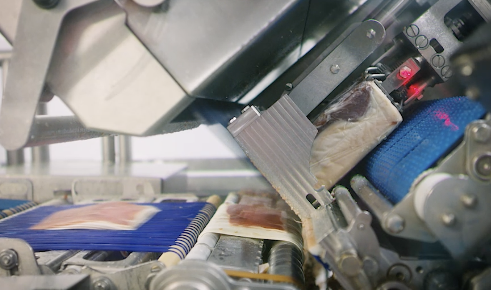 The Pink Pig Slaughterhouse in Spain